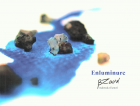 Image de couverture locale